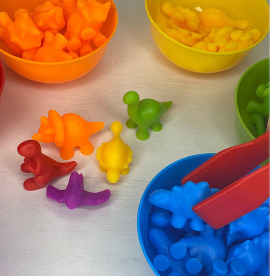 Montessori Educational Game Knowledge
