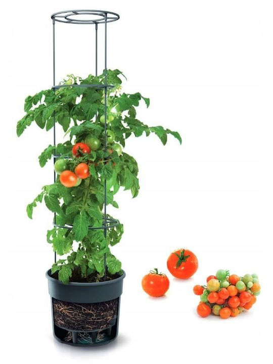 Prosperplast Ghiveci Plastic Gri 39.2x39.2εκ.