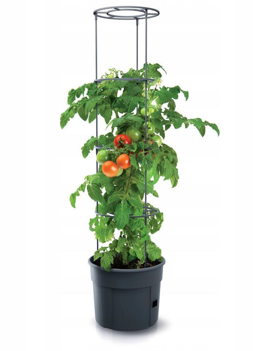 Prosperplast Ghiveci Plastic Gri 39.2x39.2εκ.