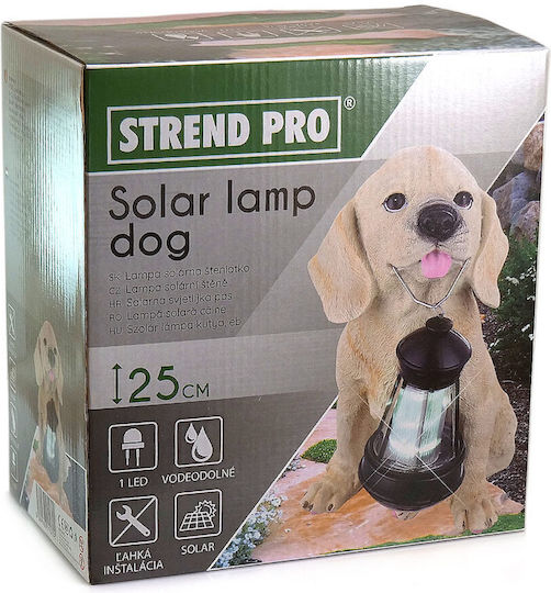 Strend Pro Solarleuchte Ampel 14cmx24cmx25cmcm