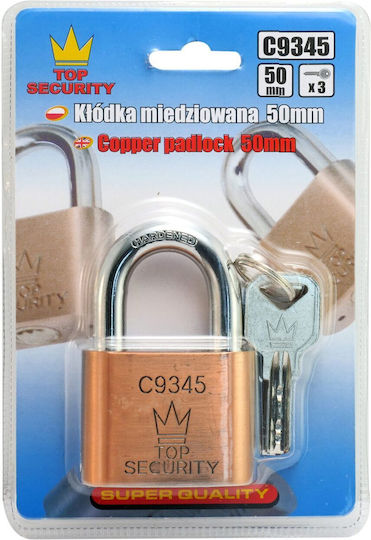 Richmann Lăcăt Potcoavă cu cheie 50mm 1buc