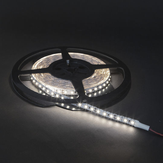 Ταινία LED Ψυχρό Λευκό Φως 5m