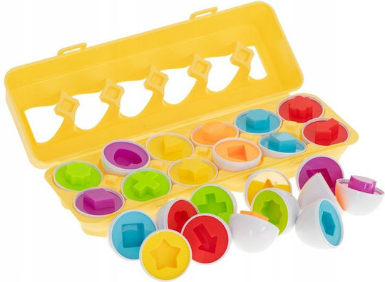 Matching Eggs Montessori Lernspiel Wissen