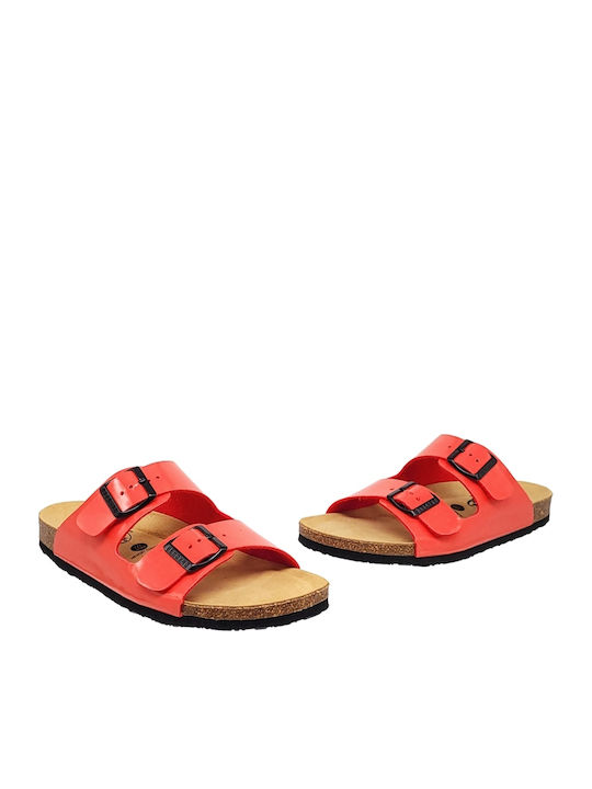 Plakton