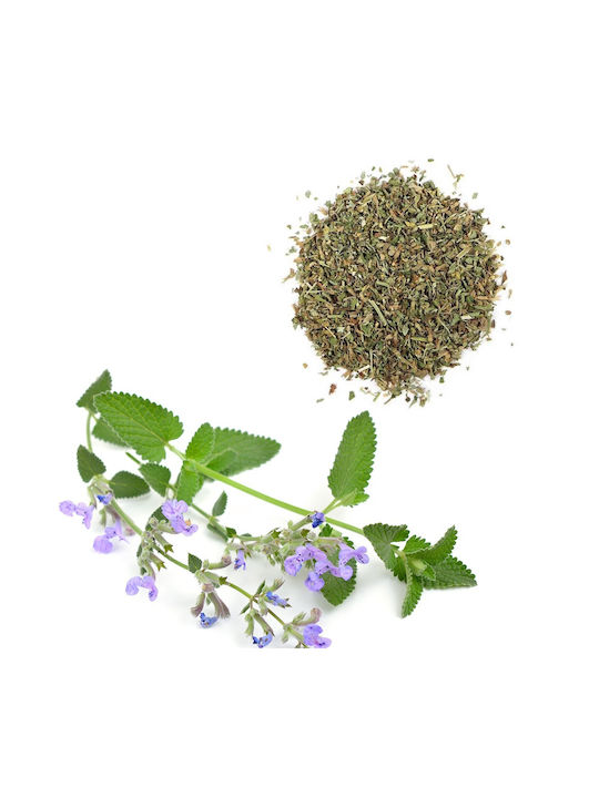 All For Paws Παιχνίδι Γάτας με Catnip