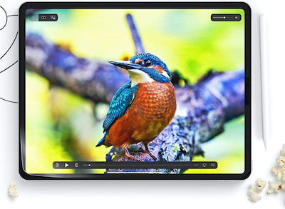Hofi Paper Pro+ Matt Displayschutzfolie (iPad Pro 2024 11")