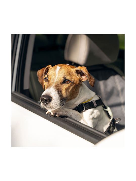 All For Paws Dog Harness Black 1357