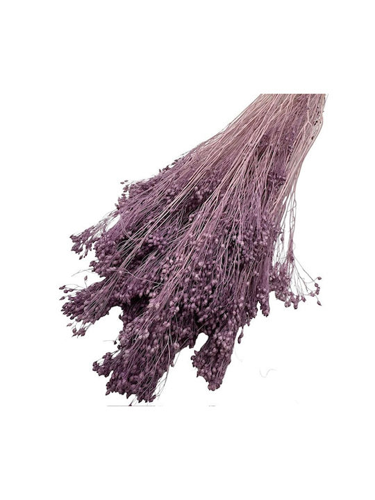 Dried Plant Purple 1pcs