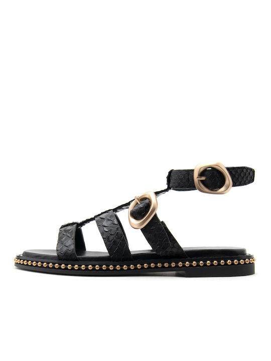 Noa Harmon Damen Flache Sandalen in Schwarz Farbe