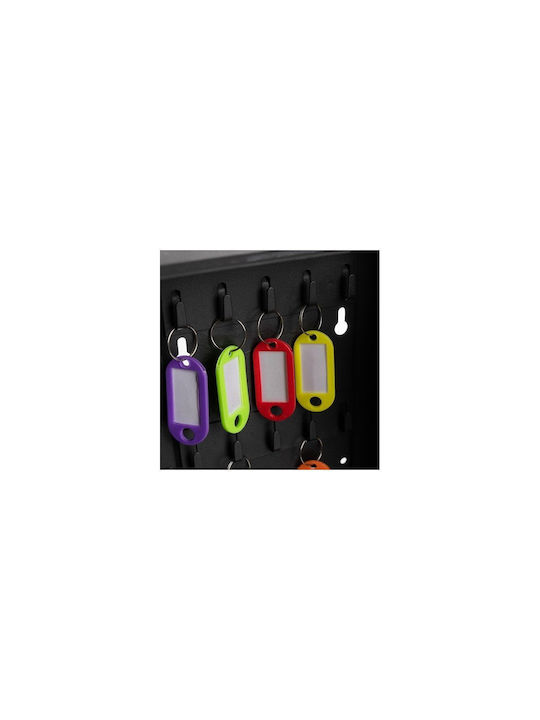 Agățătoare Chei De Perete Metalică 30 Compartimente Cu Încuietoare 20x16x7.7cm