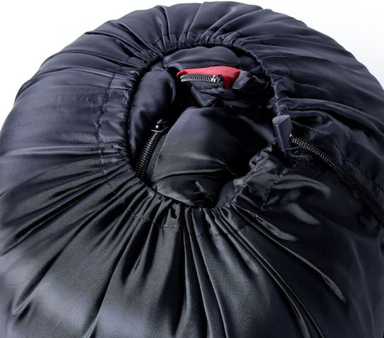 vidaXL Sac de dormit Single Roșu