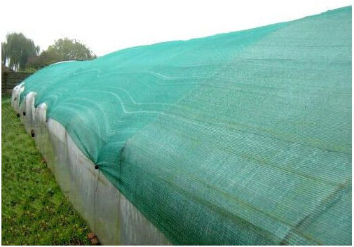 Strend Pro Rechteckig Schattierungsnetz Grün 2x10m 90gr/m²