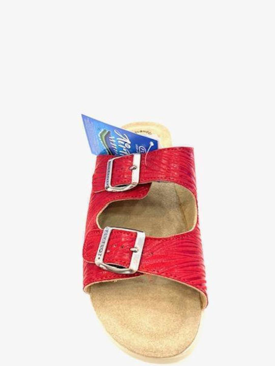Damenplattformen Rot