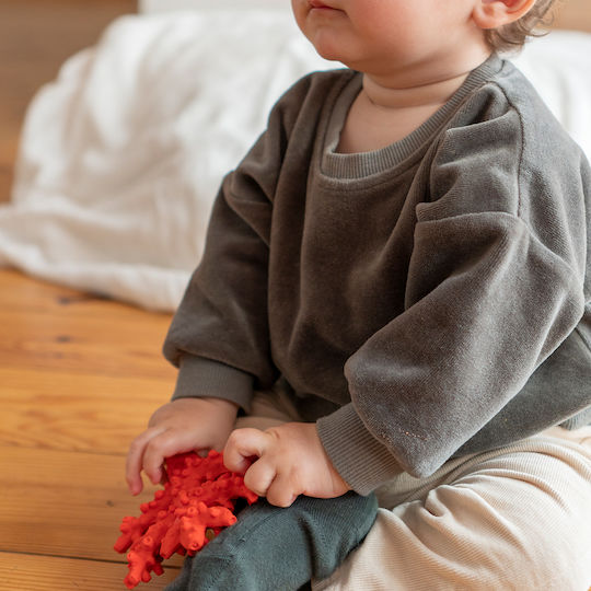 Lanco Natural Rubber Coral Teething Bath Toy