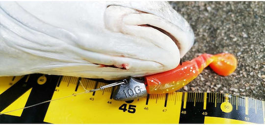 Ecooda Jig Head Owner Hooks
