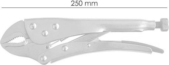 Strend Pro Πένσα Μήκους 250mm
