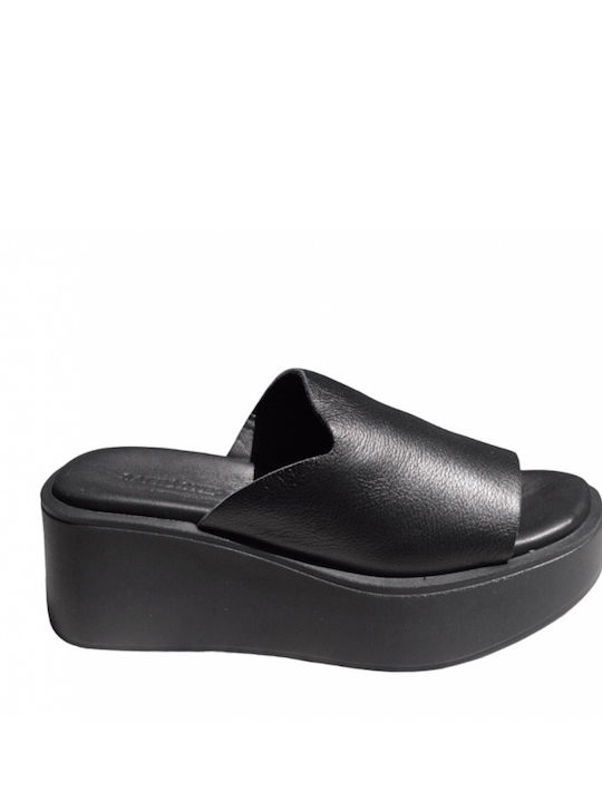 Safe Step Safe Step