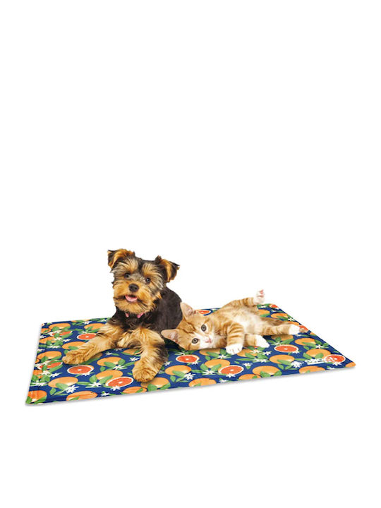 Croci Hund Katze Kühlmatte Blau Zitrus 90x50cm