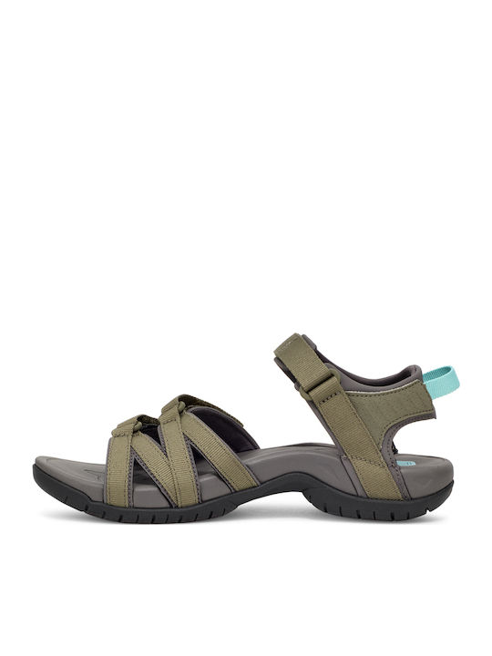 Teva