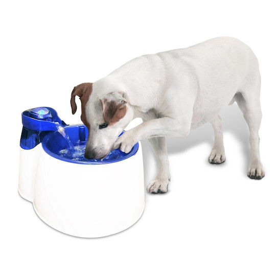 Automatic Pet Feeder Blue
