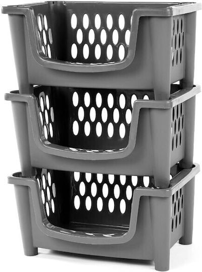 Homeplast Carina Aufbewahrungskorb Kunststoff Grey 49x34x25cm 1Stück