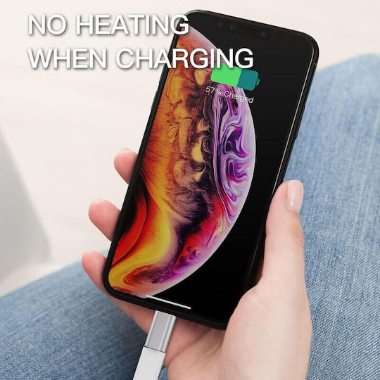 Adaptor de încărcare rapidă tip Lightning Type-c redare muzică transfer de date 5a argintiu