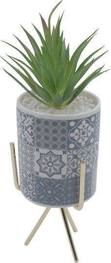 Alocasia In Topfpflanze Grau Uncle George
