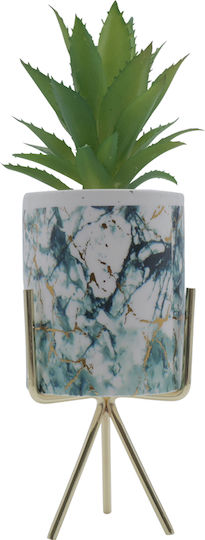 Sukkulente Pflanze in Topf Hellblau 26cm Uncle George