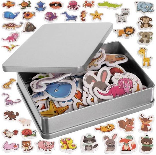 Kruzzel Set of Magnets 14cm 40pcs