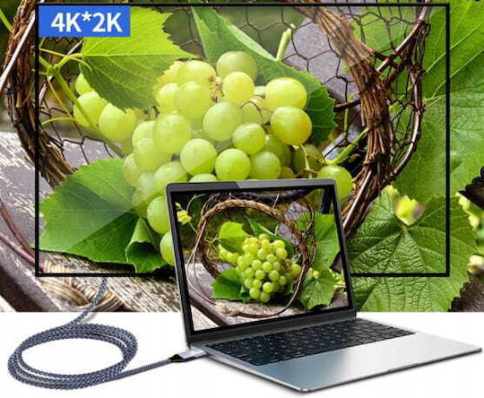 Zenwire Braided USB 2.0 Cable USB-C male - USB-C 100W PD Χρυσό 2m 1028757812