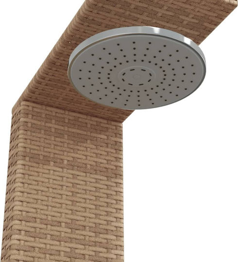 vidaXL Pool Shower Made of Natural Wood 241.5x100x100cm Pink