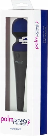 Palmpower Wand Massager Moving Head Blue