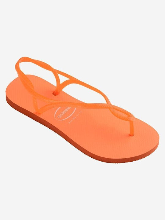 Havaianas Neon Σαγιονάρες σε στυλ Πέδιλα σε Πορτοκαλί Χρώμα