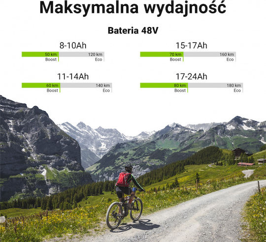 Зарядно устройство за батерия Green Cell E-bike 48v 20ah 960wh Li-ion Rca