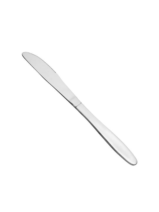 Ready Food Knife of Stainless Steel 21.7cm NEO-1103