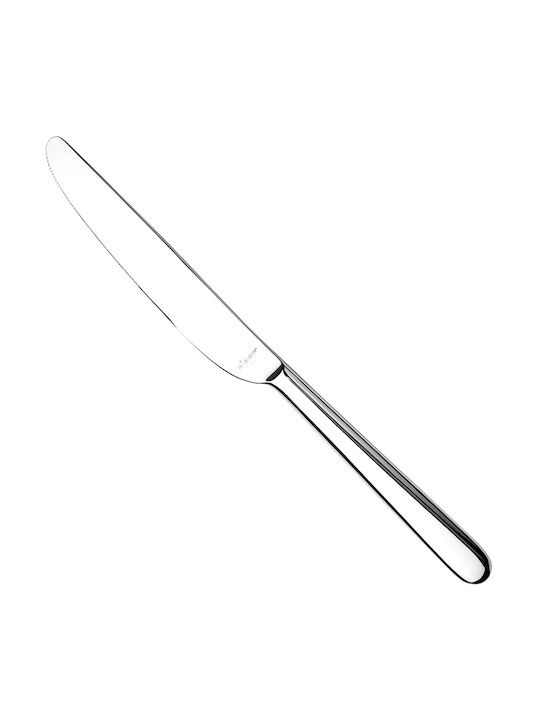 Messer Obst aus Edelstahl 20.8cm DIZDAR.223010 12Stück