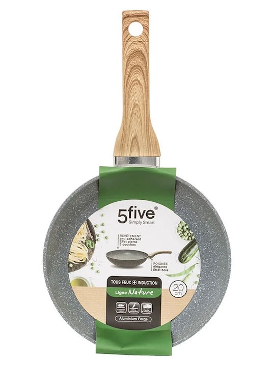 Secret de Gourmet Pan made of Aluminum with Non-Stick Coating 20cm