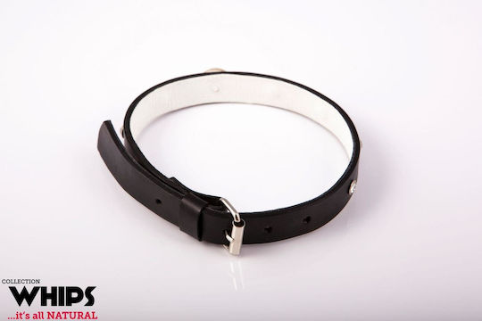 Whips Collections Κολάρο σε Λευκό Χρώμα
