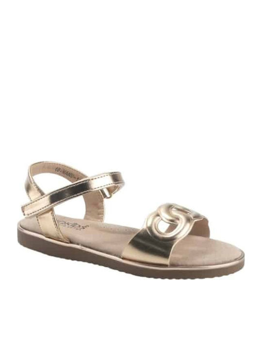 IQ Shoes IQ Shoes