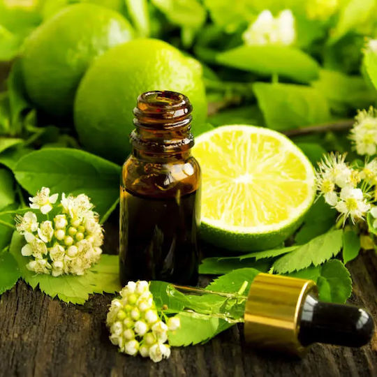 Lime Seed Vegetable Oil 50 ml