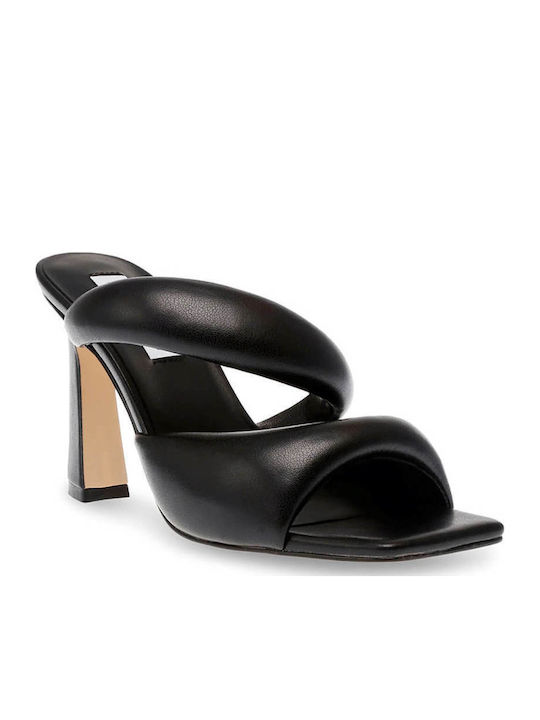 Steve Madden