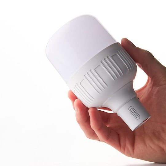 XO LED in White Color 1184