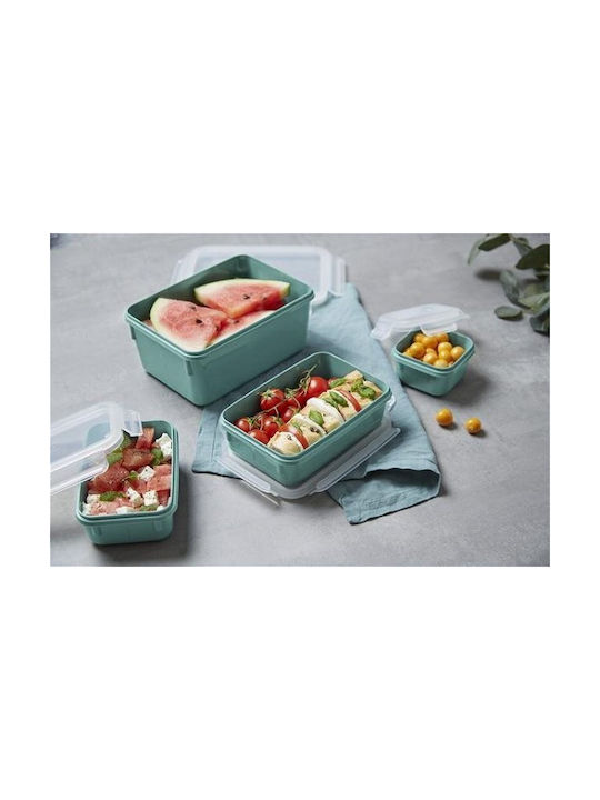 Tefal Masterseal Lunchbox Kunststoff Grün Geeignet für die Mikrowelle 4Stück