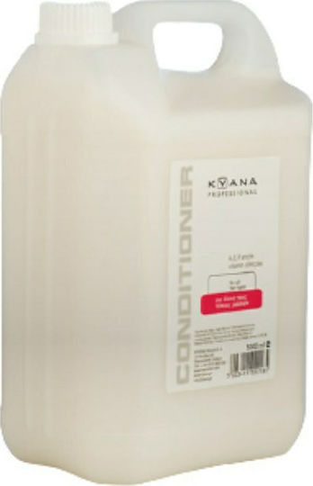 Kyana Salon Professional Raspberry Conditioner for All Hair Types 5000ml