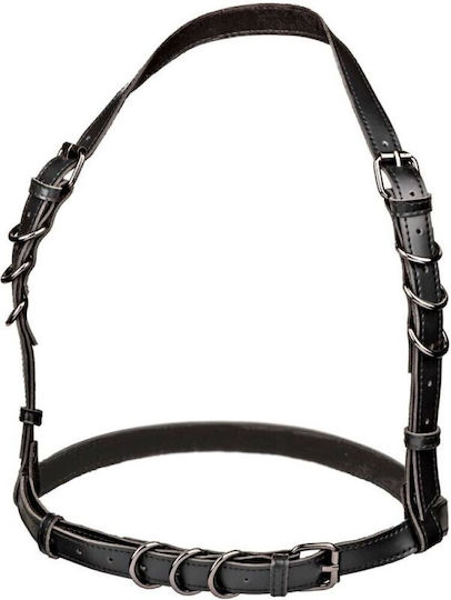 Calexotics Harness Black
