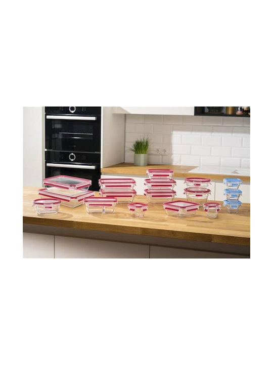 Tefal Microwave Glass Lunch Box Masterseal Red 450ml