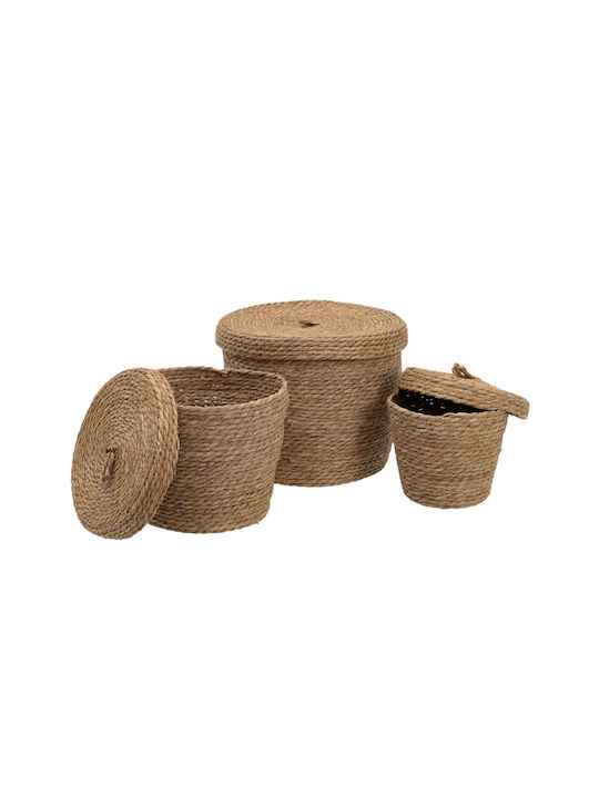 BigBuy Set of Decorative Baskets Straw with Lid & Handles Beige 28x28x36cm 3pcs
