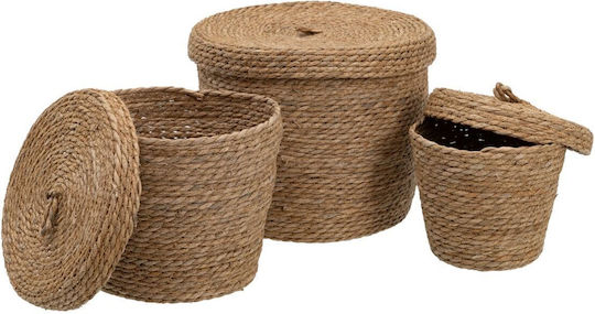 BigBuy Set dekorative Körbe mit Deckel & Griffen Beige 28x28x36cm 3Stück