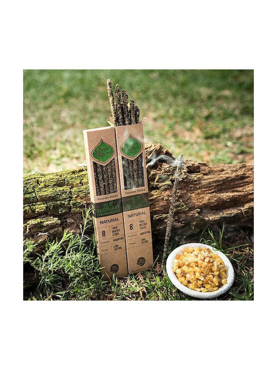Θυμίαμα Απήγανο Δεντρολίβανο Λιβάνι Sagrada Madre Premium Incense 8τμχ