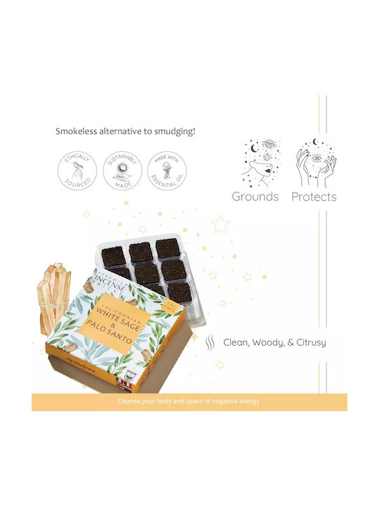 Gift Set Smudge White Sage Καυστήρας Θυμιαμάτων Tree Life + 12 Κύβοι Θυμιάματος